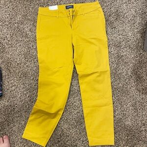 NWT old Navy “pixie” Mid rise pants